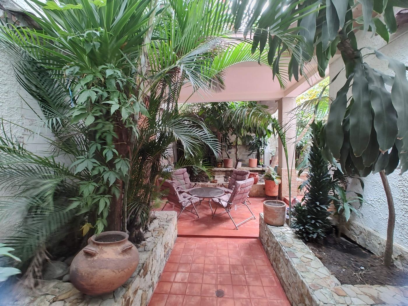 Jardín interior con palmas y matas